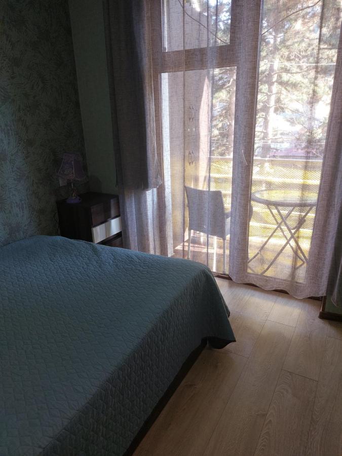 Appartement Londa à Bordjomi Extérieur photo